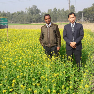 ডাল তেল ও পেঁয়াজ